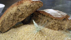 אורלי וגיא: האם מזון אורגני באמת בריא יותר?