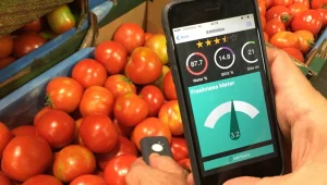 האפליקצייה הישראלית הזו תזהה אם הפרי שמולכם בשל