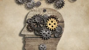 לבחור נכון: 5 צעדים לשיפור הזיכרון