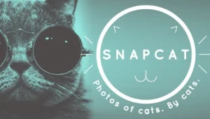 אפליקציה: תנו לחתול לצלם את עצמו