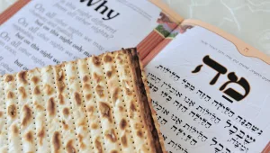 אפליקציה: קריוקי בליל הסדר