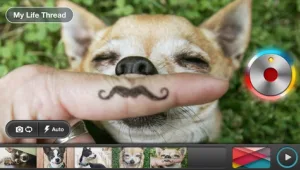 Threadlife: גישה חדשה לשיתוף וידאו