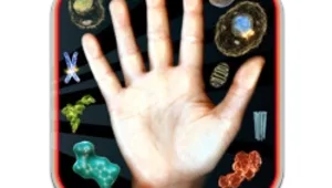 אפליקציה: המסע המופלא אל תוך היד