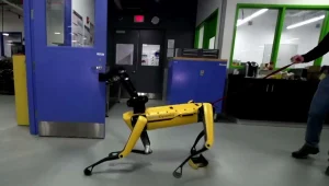 האם הגיע הרגע שבו הרובוטים באמת מתחילים להפחיד אותנו?