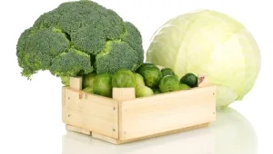 החולדה הזו ממש לא אוהבת ברוקלי