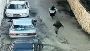 תיעוד: שתי נערות מבריחות מיידי אבנים