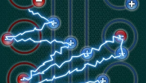 מדהים! שוק חשמלי למי שלא לומד