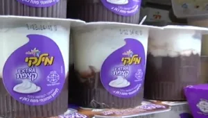 יוזם מחאת המילקי חזר לישראל