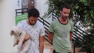 הרגעים הכי ישראלים שיש