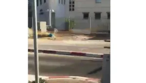 פוסט-גמר "המפגע של המדינה"