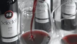 מונחי יין • פעילות מסביב לבקבוק