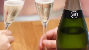 חיים בבועה - מדריך ליינות מבעבעים