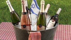 יין ובריאות מאז ועד היום