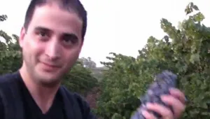 Wineblog - בלוג יין ישראלי