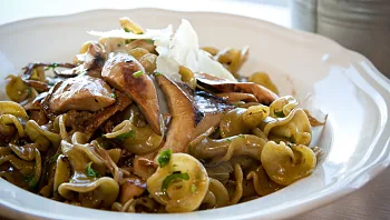 מתכון לפסטה ברוטב פטריות