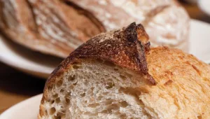 השאור שבעיסה • טעימת לחמים