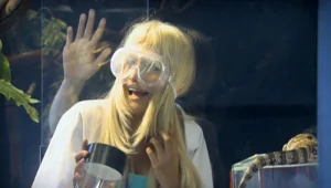 פרק 8: מי מפחד מטרנטולה?