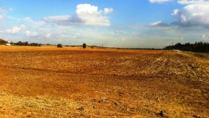 סודות הנדל"ן: כל מה שרציתם לדעת על קרקעות חקלאיות בתהליך הפשרה