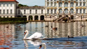 לבלות חופשה קייצית ביער השחור ובשטוטגרט התוססת