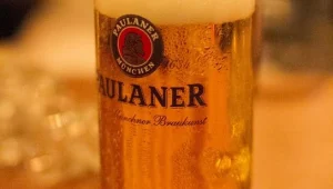 אלכוהול ב-22 שקלים או ספא מפנק? כל מה שתעשו בזמן ואחרי היורוליג