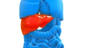 חיים בריא 27.11.16