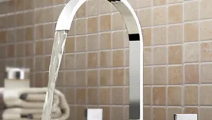 חיים בריא: 11.08.16