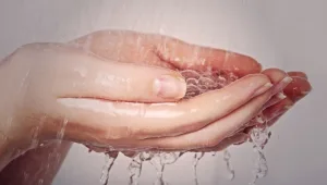 חיים בריא: 01.08.16