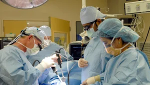 חיים בריא: 29.10.15