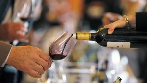 גם כמות קטנה של אלכוהול מסכנת את הבריאות?