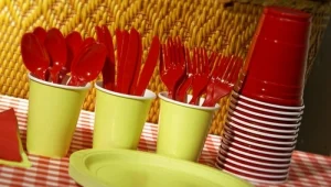 איך תמנעו משימוש בכלים חד פעמיים בחגים?