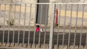 תינוקת לבדה ברחוב - מצלמים ולא עוזרים