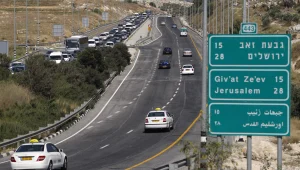 מי החביא את התמרור?