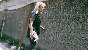 תחקיר הביצים הגדול