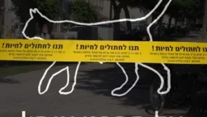 הסלבס מצילים את תנו לחיות לחיות