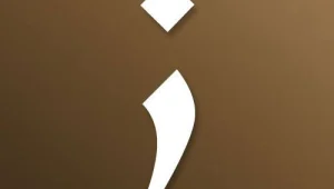 שינויים בהרגלי השפה ברשת