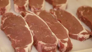 האם דיאטת הפליאו פוגעת בבריאות?