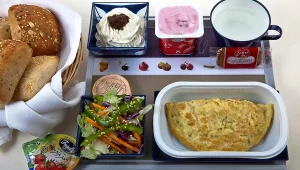 מה מסתתר במגש האוכל במטוס?