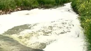 מריח רע: כיצד הירקון חזר להיות מזוהם?