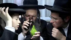 מהפכת משגיחי הכשרות