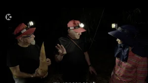 "אור בראש זה הדור הבא"