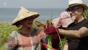 אהרוני מגולני