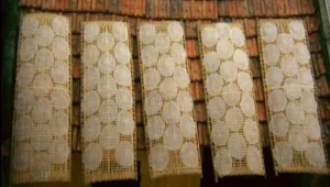 מחזה קסום: האישה שמאכילה "עשרות מיליוני וייטנאמיים"