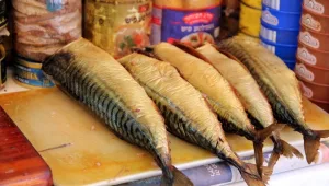 מה כ"כ קסום באוכל רחוב? ישראל אהרוני וגידי גוב מסבירים