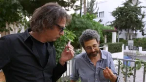 שי בשידור: הטבעונים מכים שנית