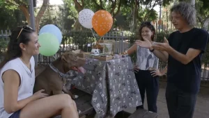 חדשות טובות לכלבים: הכירו את הדוג-קונדיטורית