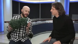 "איך אומרים לוביסטים בעברית? תחמנים"