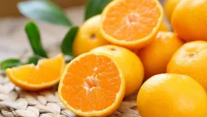 5 דברים פשוטים שיעזרו לכם להתרחק מהשפעת