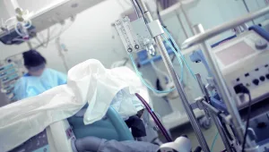 טירוף העכברת: "אחרי שבועיים הוא נפל למיטה בלי יכולת לזוז"