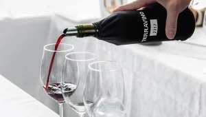 נבחר היין הטוב בעולם לשנת 2015: בדרך לתוצאות גילינו - איך תדעו שהיין שלכם כשיר לשתייה?