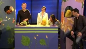 "פרפר נחמד" ו"גב האומה" מקבלים את התימנים